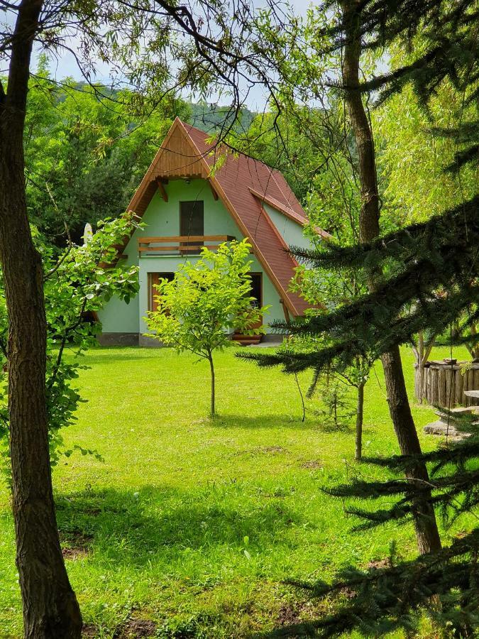Kamilla Kulcsoshaz Villa Sub Cetate Екстериор снимка